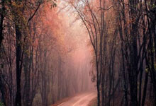 Kaiyun-关于梅西重要时刻出色发挥，TL带队取胜！的信息